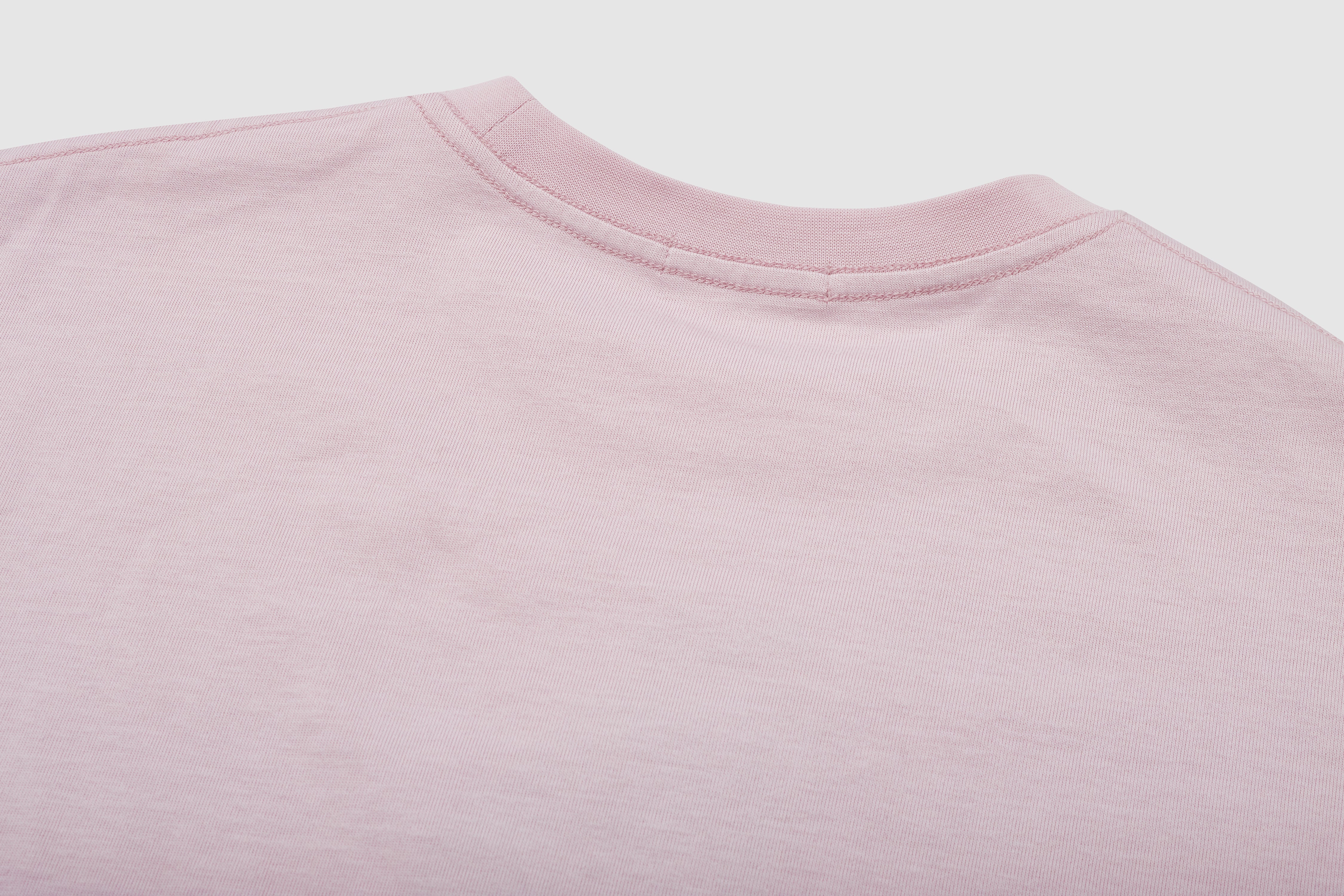 Cropped Parrot Graphic Embroidery Tee